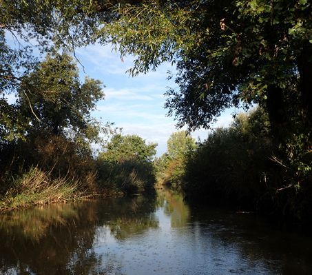 Wasserrahmenrichtlinie